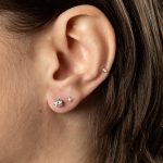 Wissings Sällskapet 0.30x2