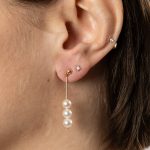 Wissings Sällskapet 0111