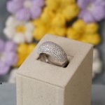 DSC01060