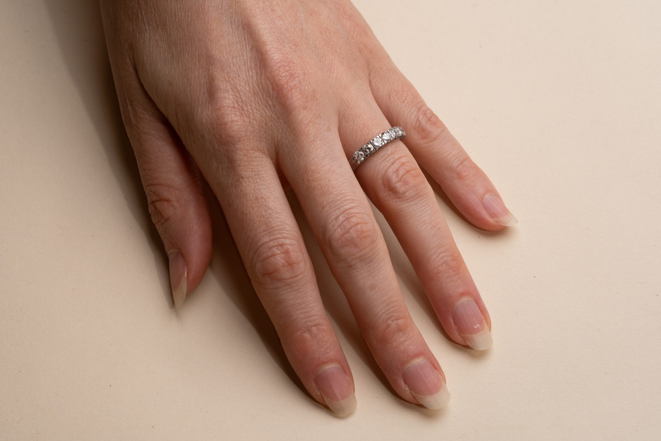 Alliansring Shanta bred