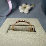 IMG_7937